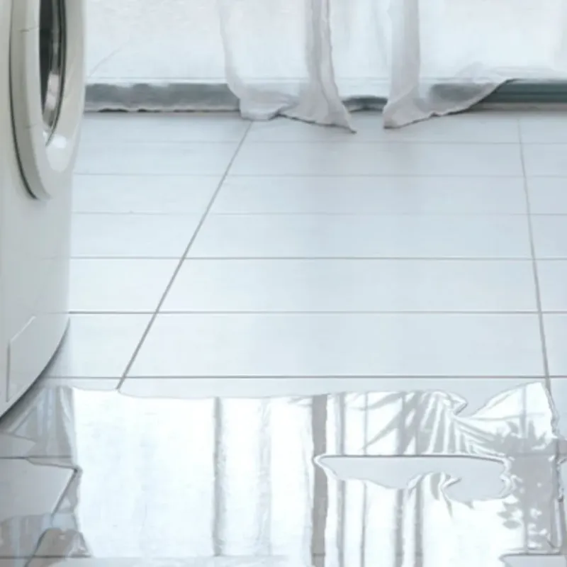 Appliance Leak Cleanup in Pineville, WV