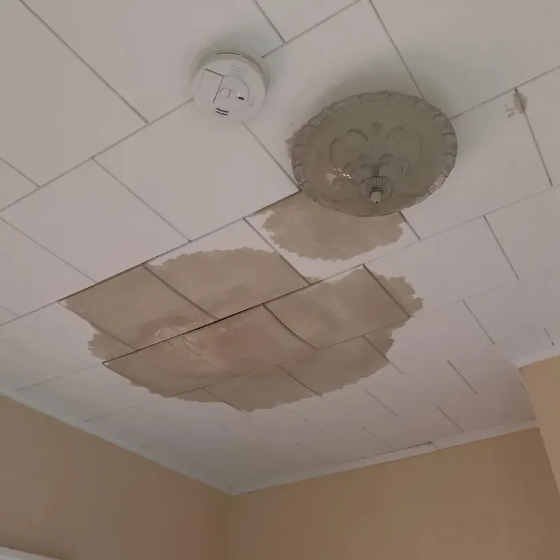 Ceiling Water Damage Repair in Pineville, WV