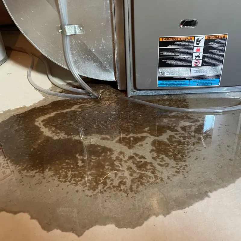 Pipe Burst and Leak Restoration in Pineville, WV