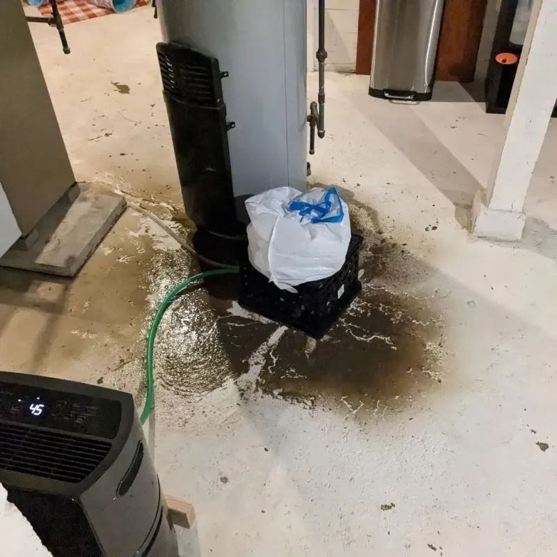 Sewage Backup Cleanup Service in Pineville, WV